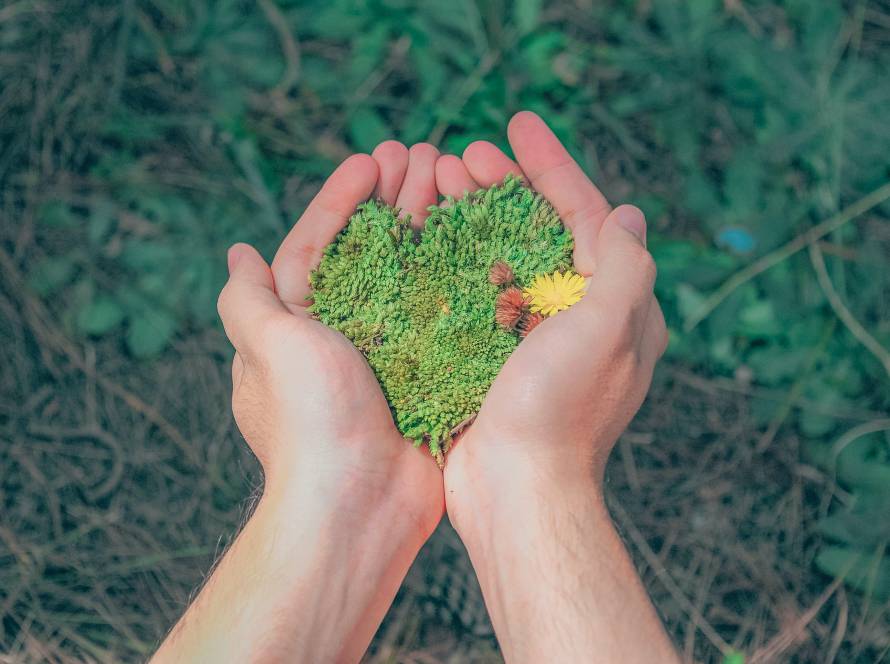diferencias-huella-ambiental-huella-carbono