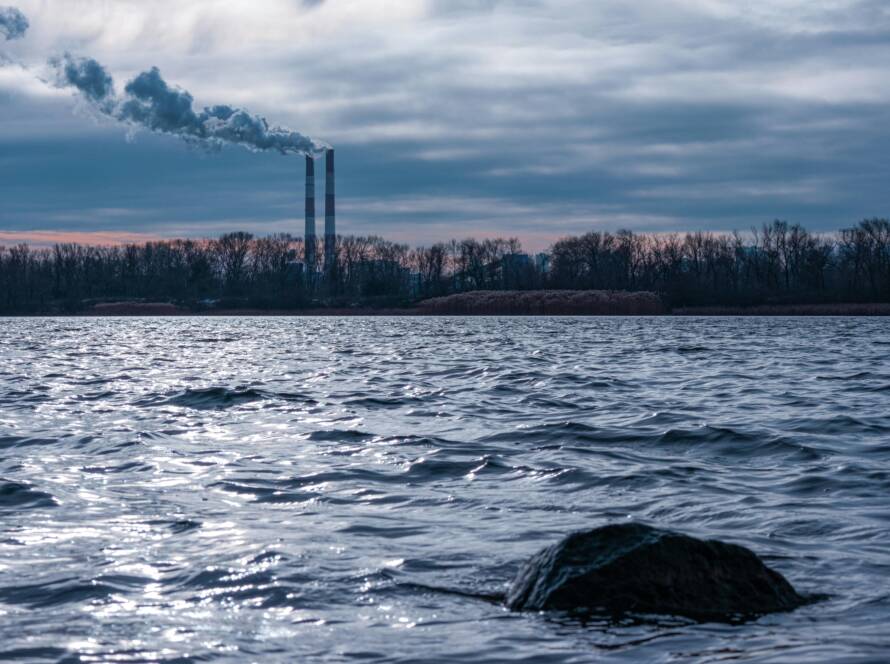Cómo medir el impacto ambiental de tu empresa