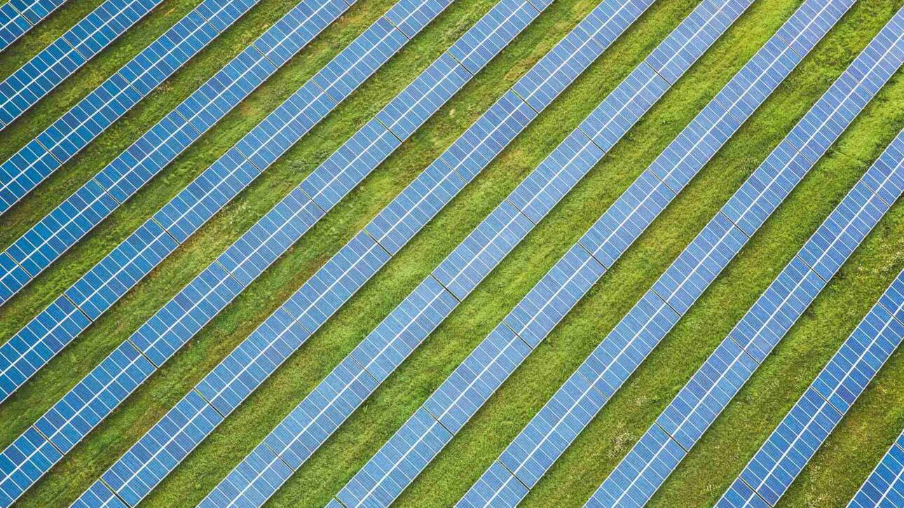 acciones sostenibles empresas