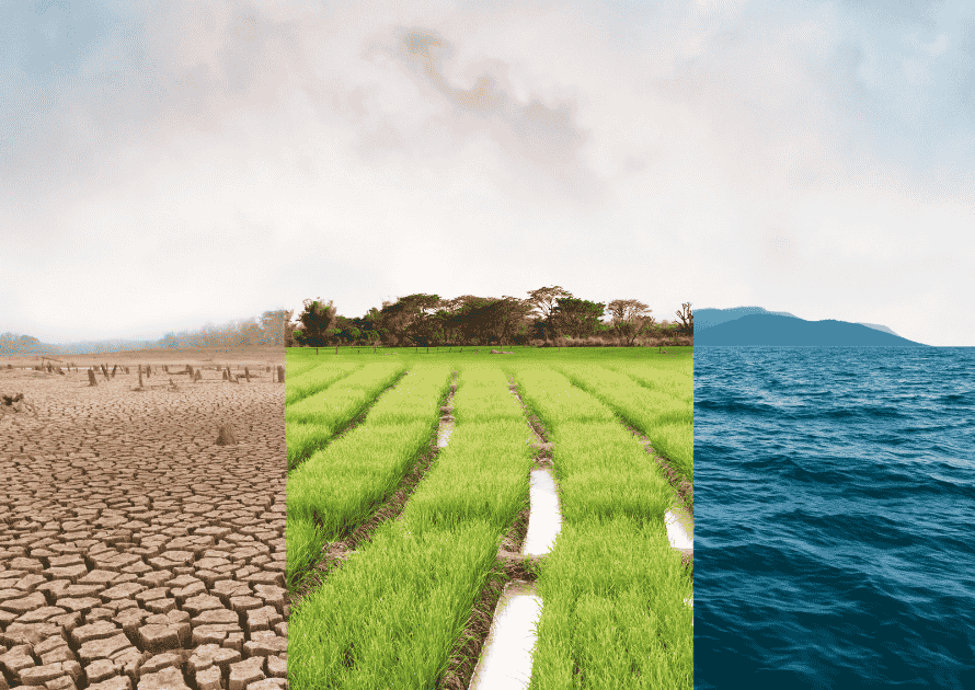 resiliencia climática