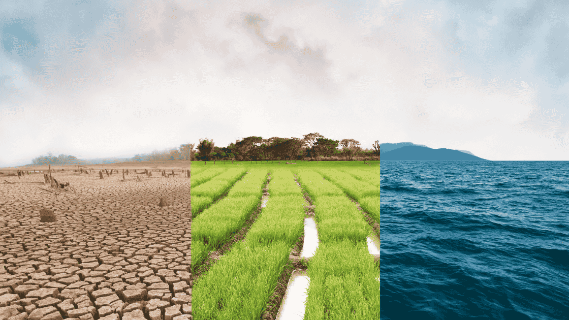 resiliencia climática