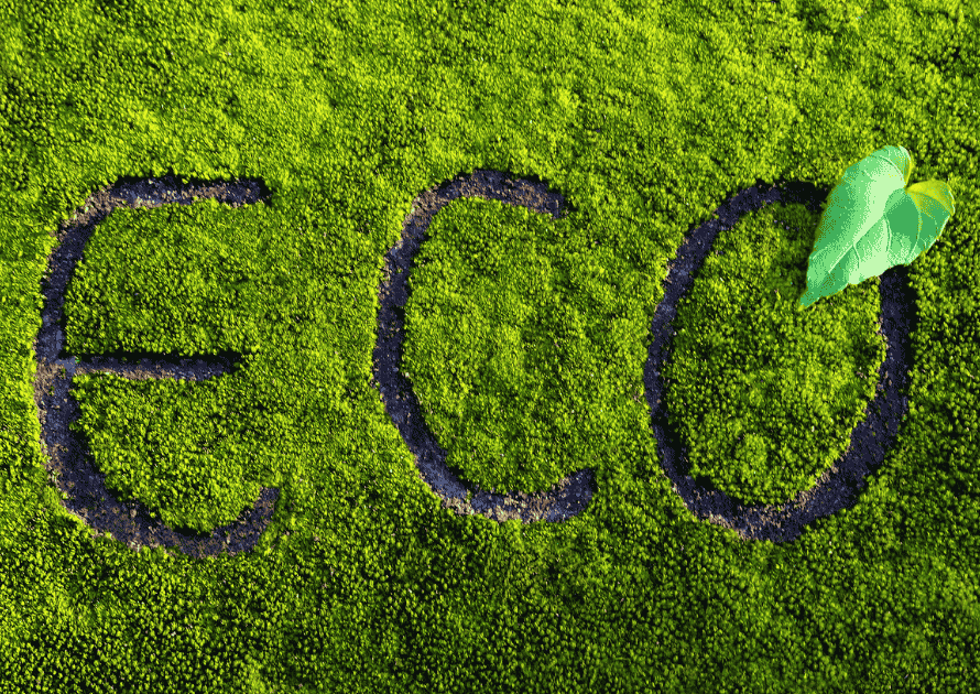 cuál es el propósito del etiquetado ecológico​