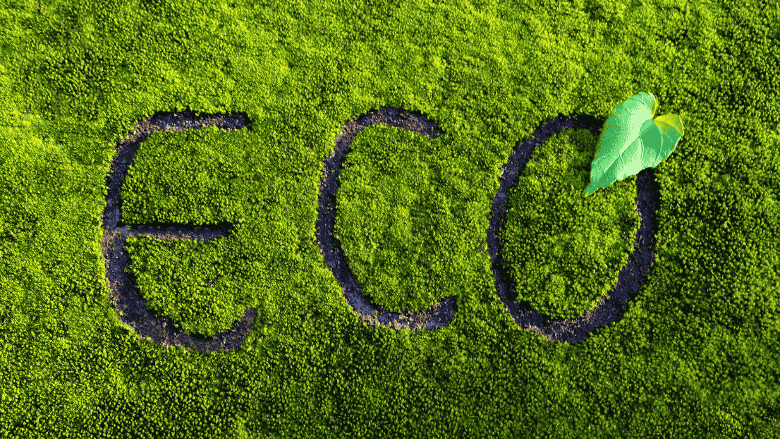 cuál es el propósito del etiquetado ecológico​